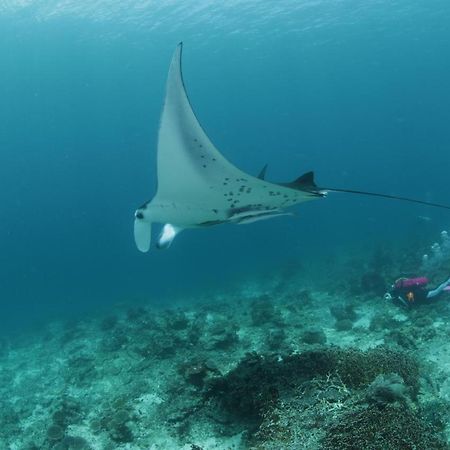 Coriana Dive Resort Waisai Exterior photo